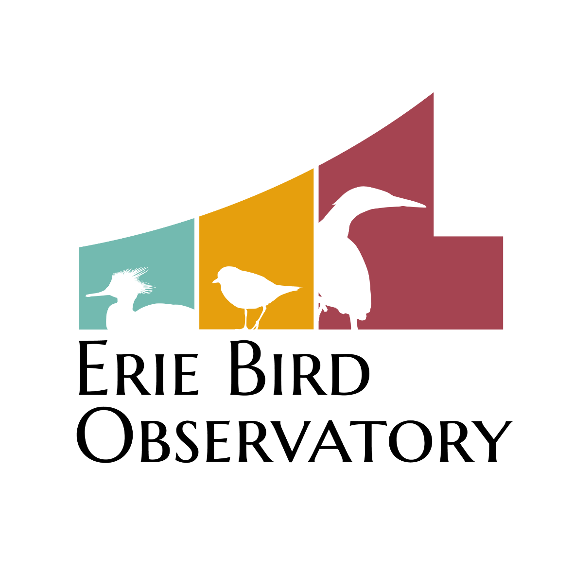 Wings of Spring, Sponsorship - logo